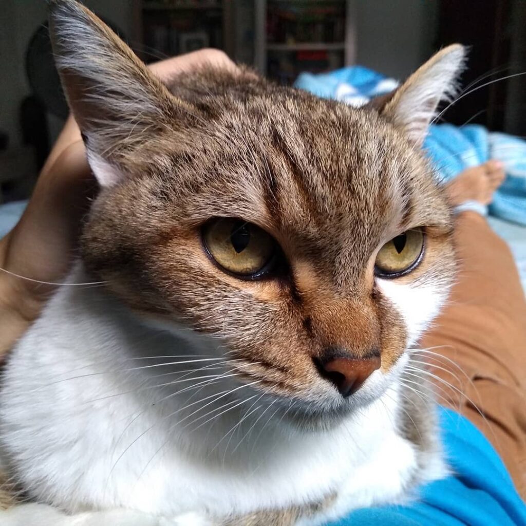 Bebê mais lindo de todos, nem precisa de filtro