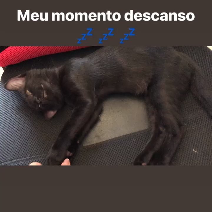 Amoooo brincar e aprontar todas por aqui, mas também tiro um tempinho