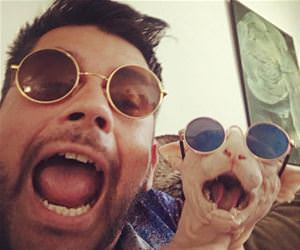 FunnyCatSite