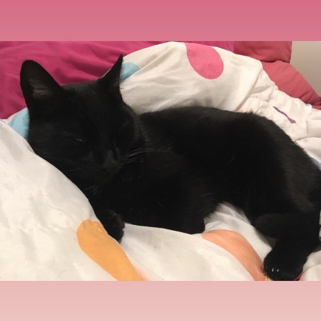 Bonne nuit