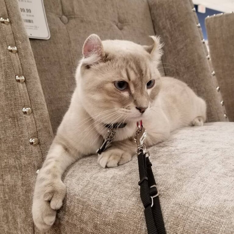 Chillin at Marshall’s.