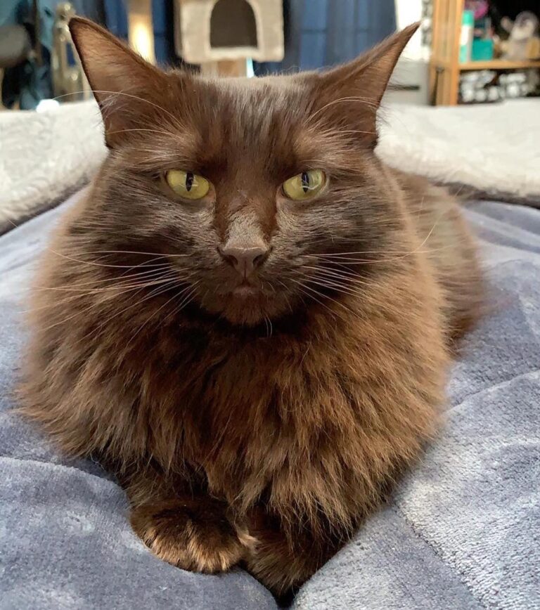 Cinder’s “Enough with the photos, Mom” face!