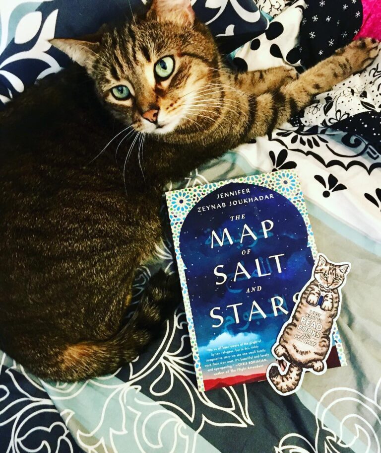 Current mood: “I just want to read books and pet cats” . . Happy