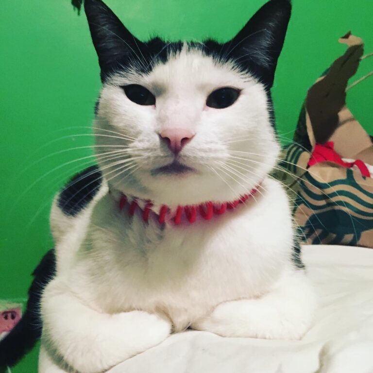 Do you like my new necklace? I’m loving it!!