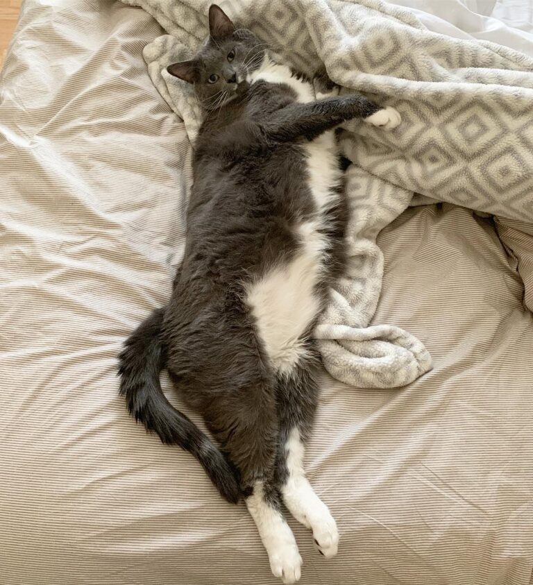 Draw me like one of your French girls. . . .