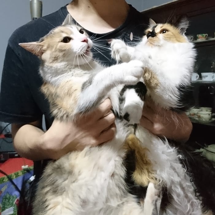 FRIDA y PELUSA. Se agarraron las hermanas.