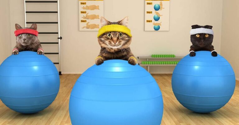 HAppy NEw YeAr FitneSs ResoLutioOns everyone! I expect I’ll see you