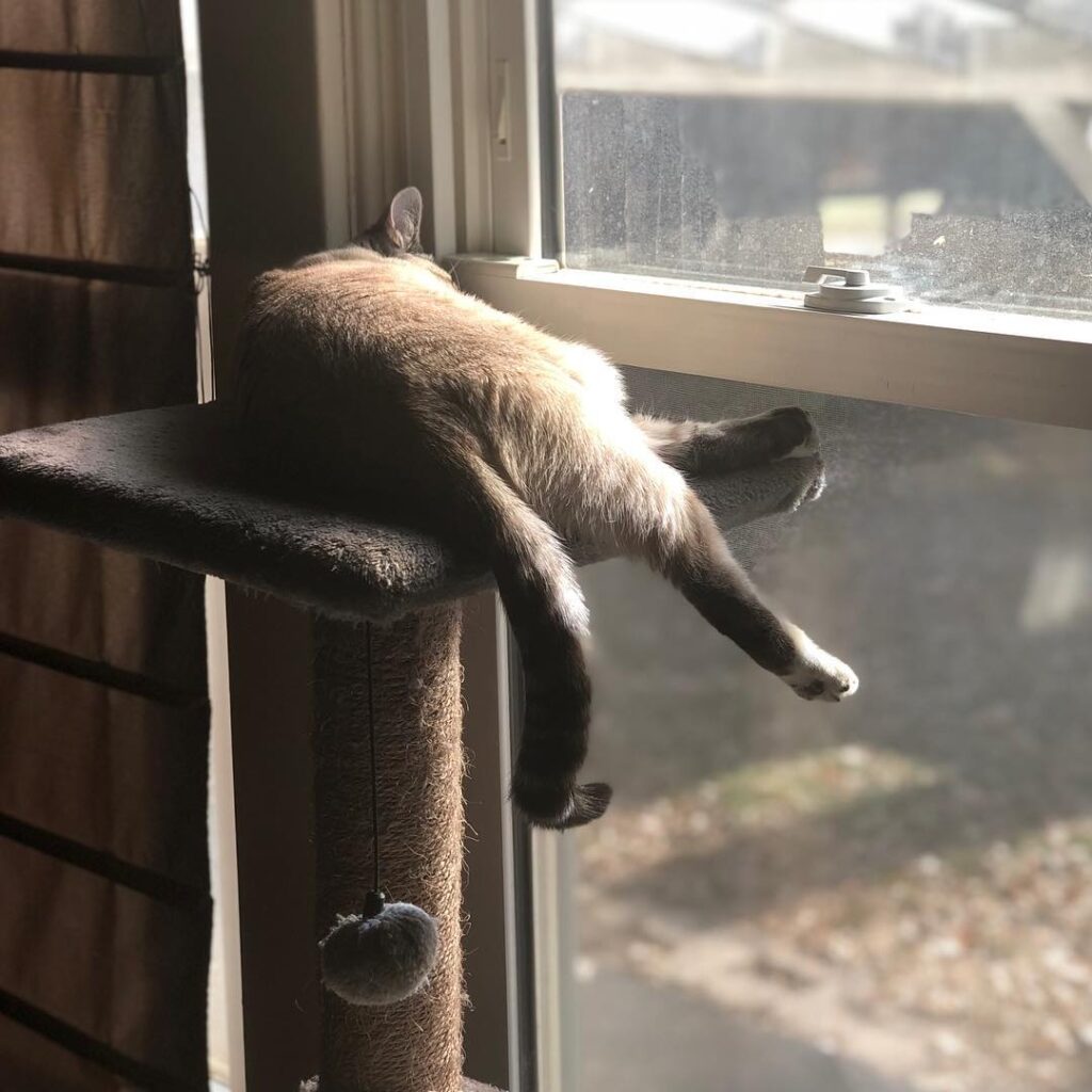 Having a lazy Saturday