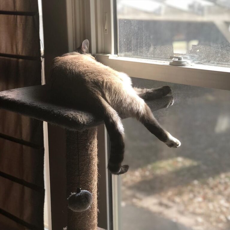 Having a lazy Saturday