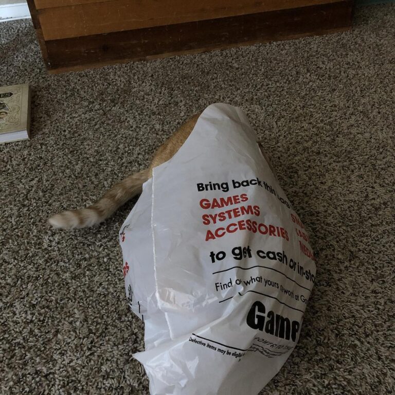 Hiding in a bag