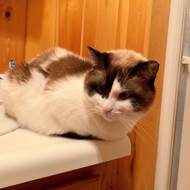 I lyke to watch U bath