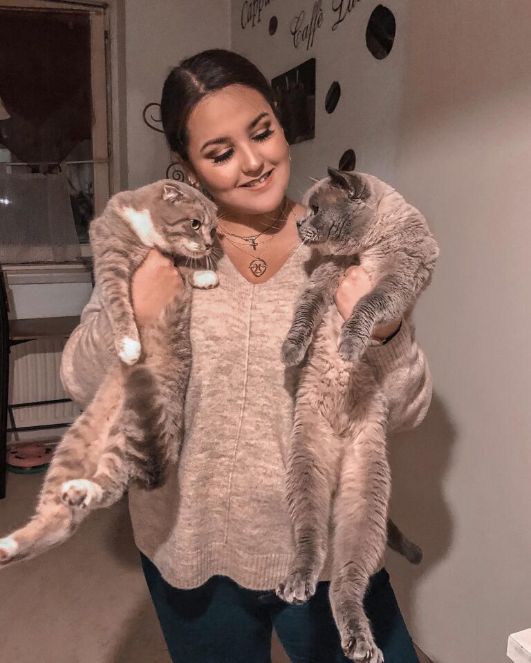 If you don‘t like cats, you don‘t like me Zurzeit ist bei uns die