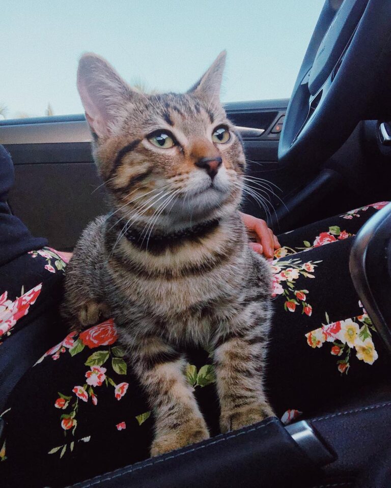 I’m getting so big and handsome, righhht?