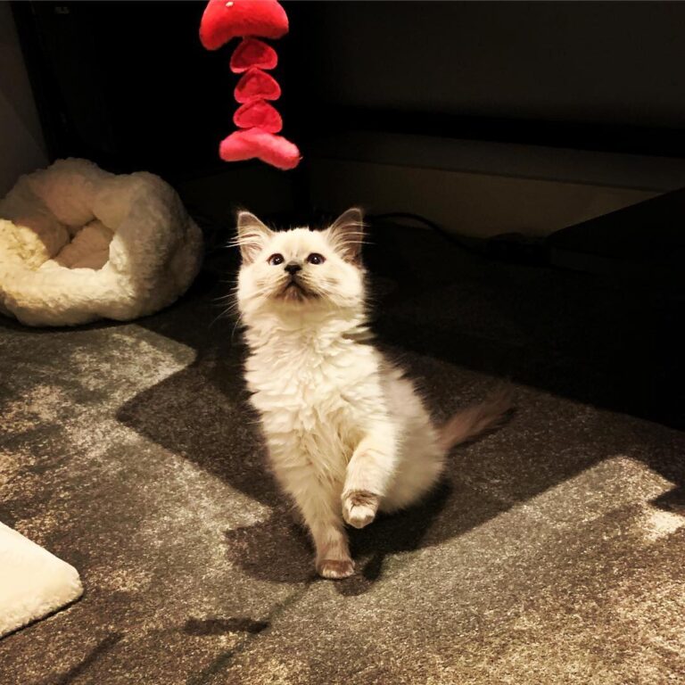 In a playful mood! – – – – –