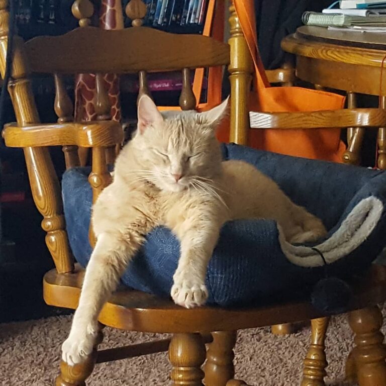 Is…is that even comfortable?