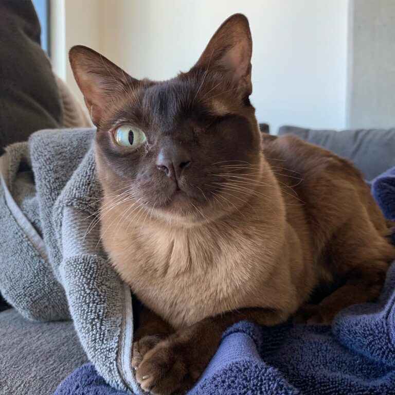 It’s the first of January! I’m spending my afternoon napping on some