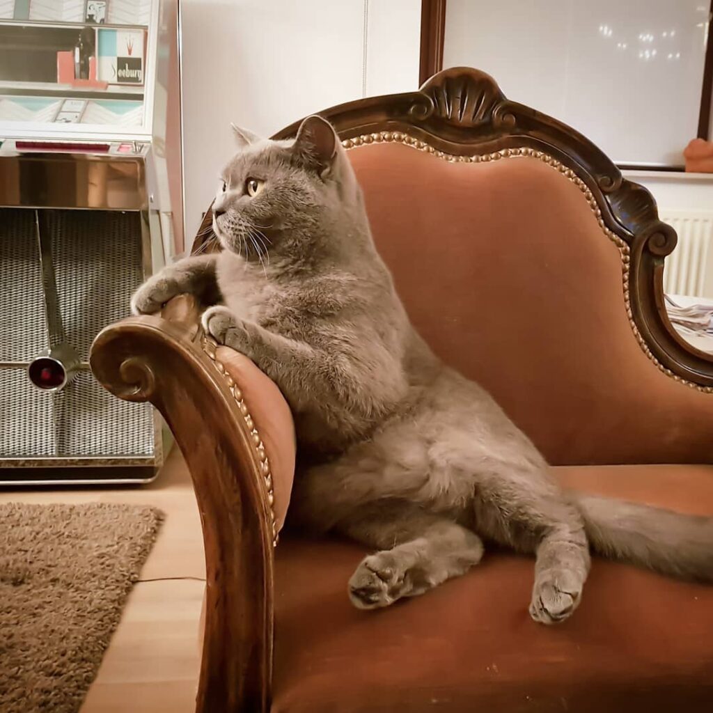 Just another fancy saturday night