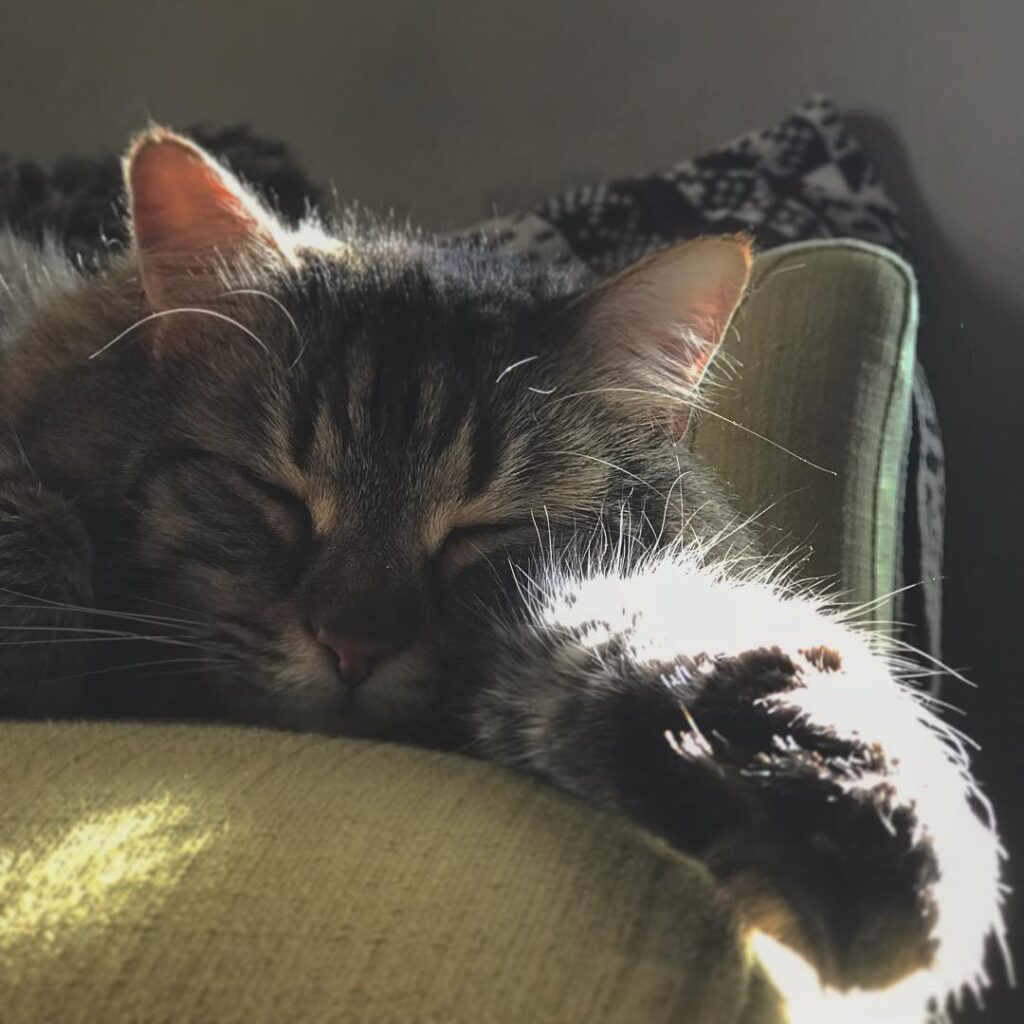 Just living his best life