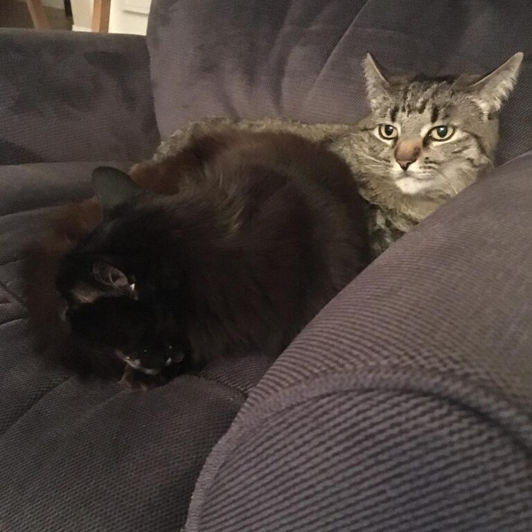 Just loungin’ around last night in my momma’s chair