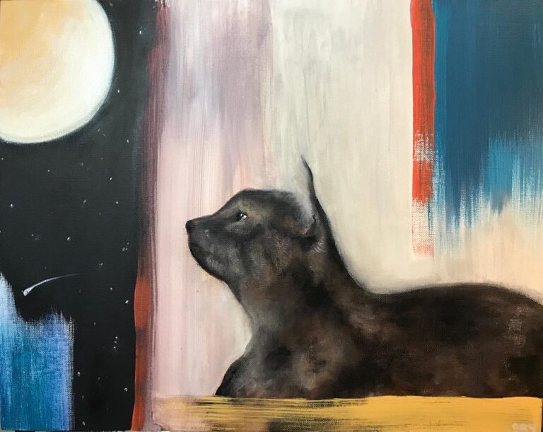 Kitty cat gazing into the moon and stars and