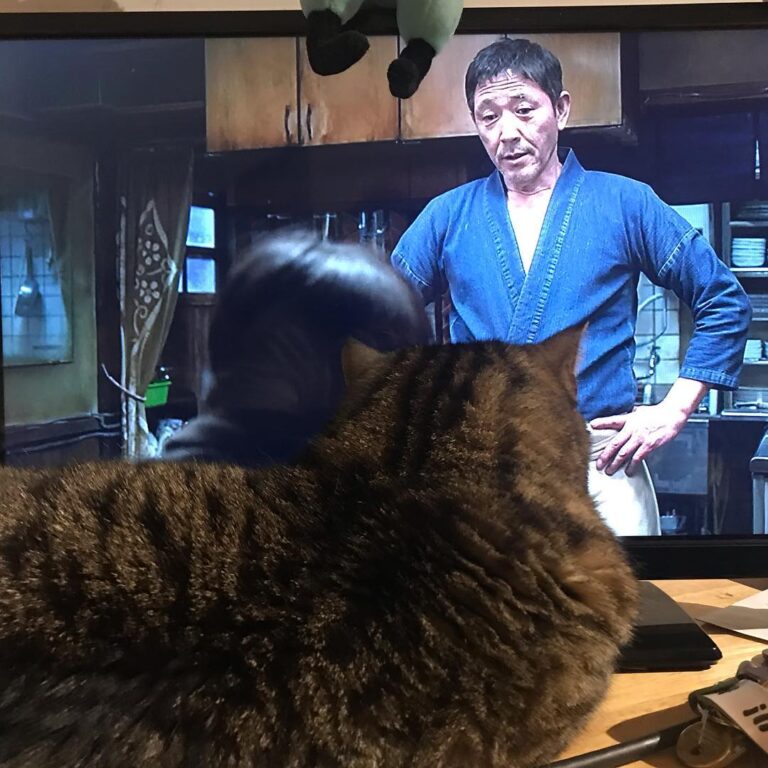 Late night jazz Midnight Diner I Japanese Drama #