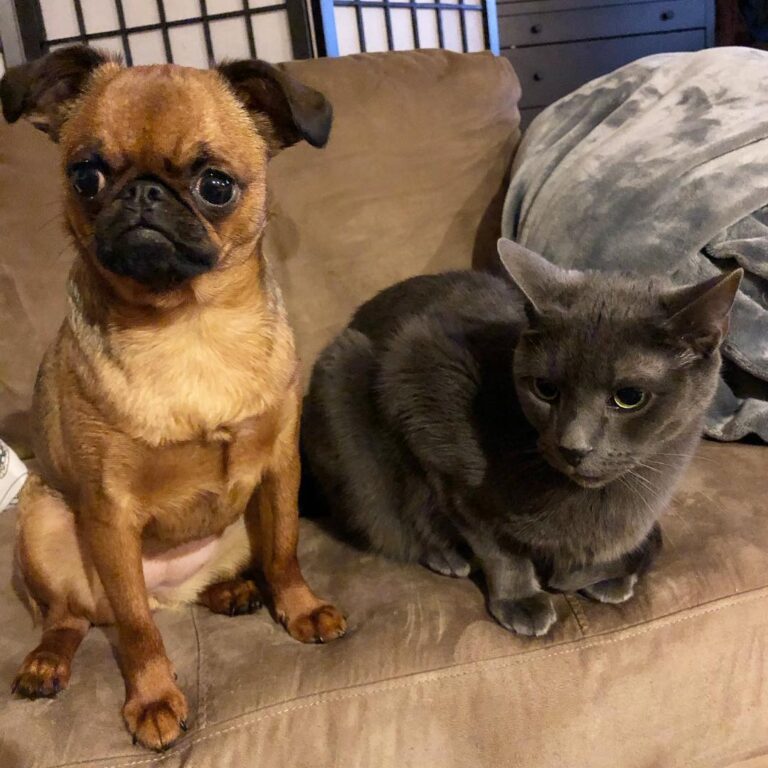 Let me tell you bout’ my best friend . .. .. .. ..