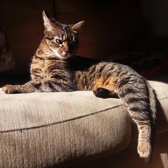 MOMENTO DO SEGUIDOR: Já que esse é o último domingo do ano vamos