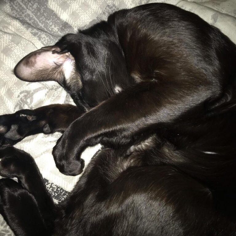 Mom, please, no photo! Let me sleep