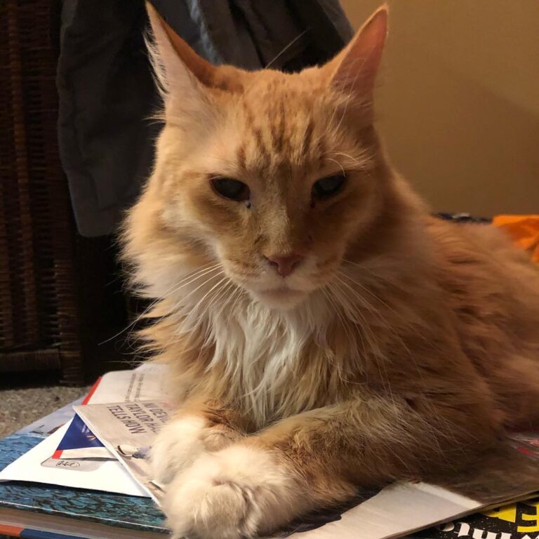 Mom you were finished looking through these books right . . HAPPY