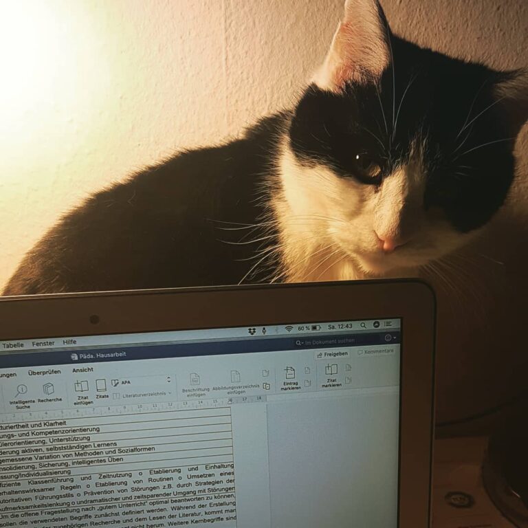 Mommy has to work. I just check, if she is doing it correctly