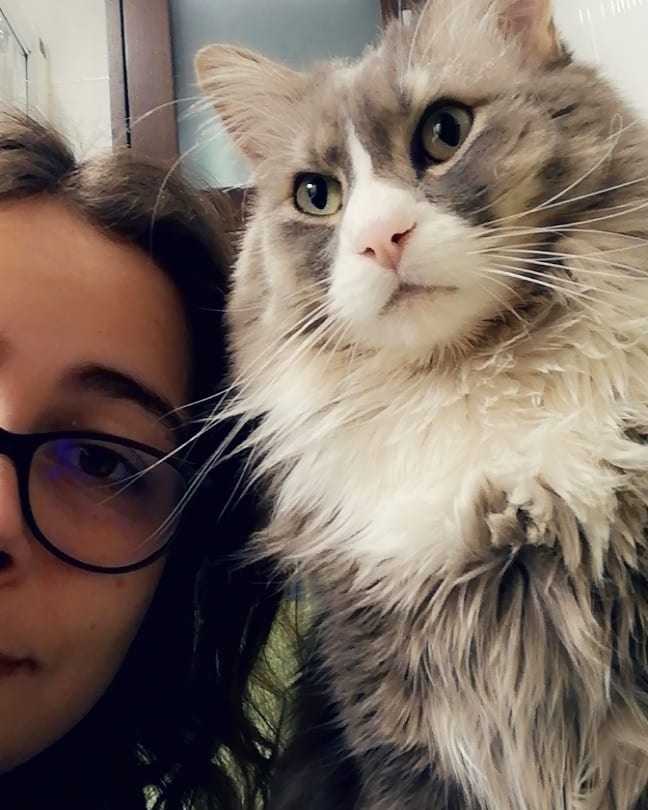 My human and I wish you a happy… Whatever.