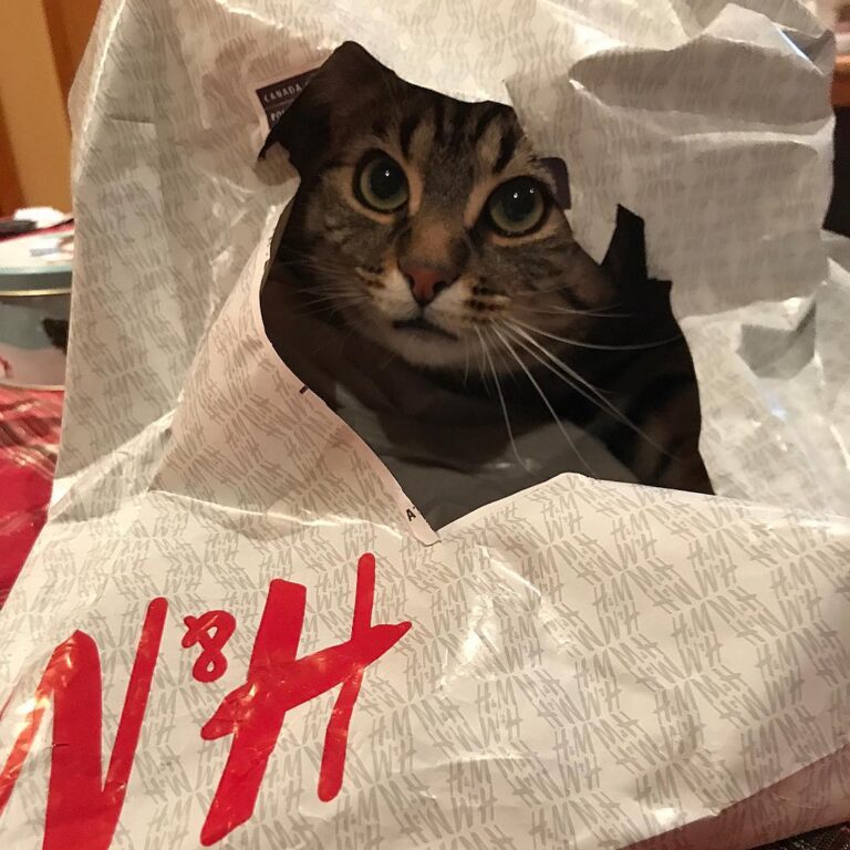 My package has finally arrived! Inspecting it from the inside out!
