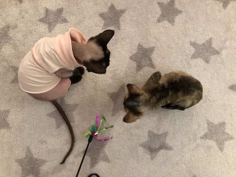 Naomi and Teddy( Naomi is very tiny)