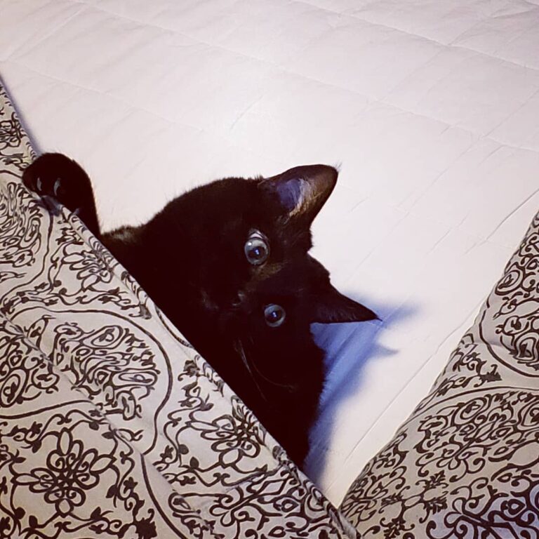 No, really… I’m helping!!