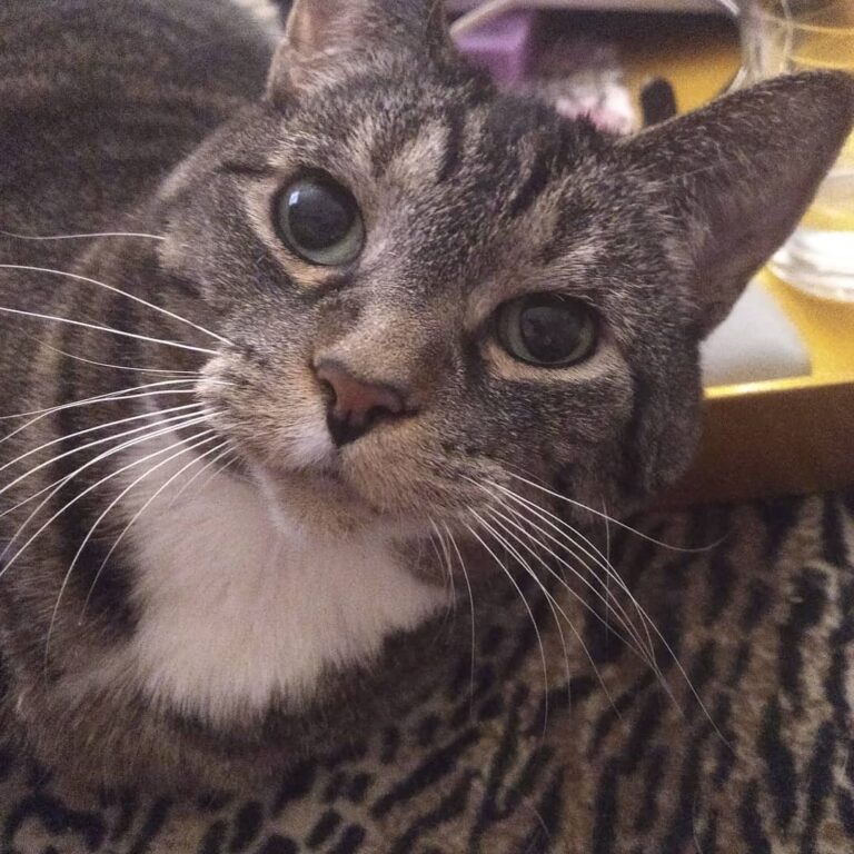 Not impressed!