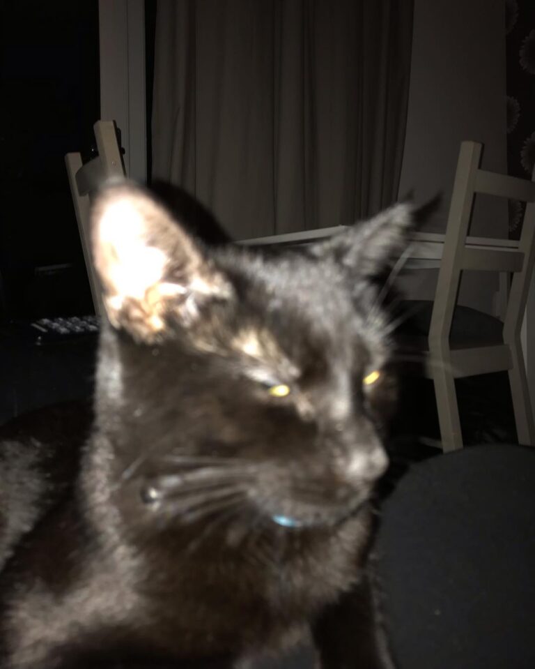Oops accidental flash