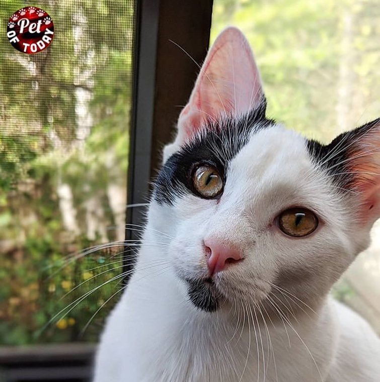 . Pet Of Today Photo by: Date: Jan. 5. 2019 . Thank you for sharing