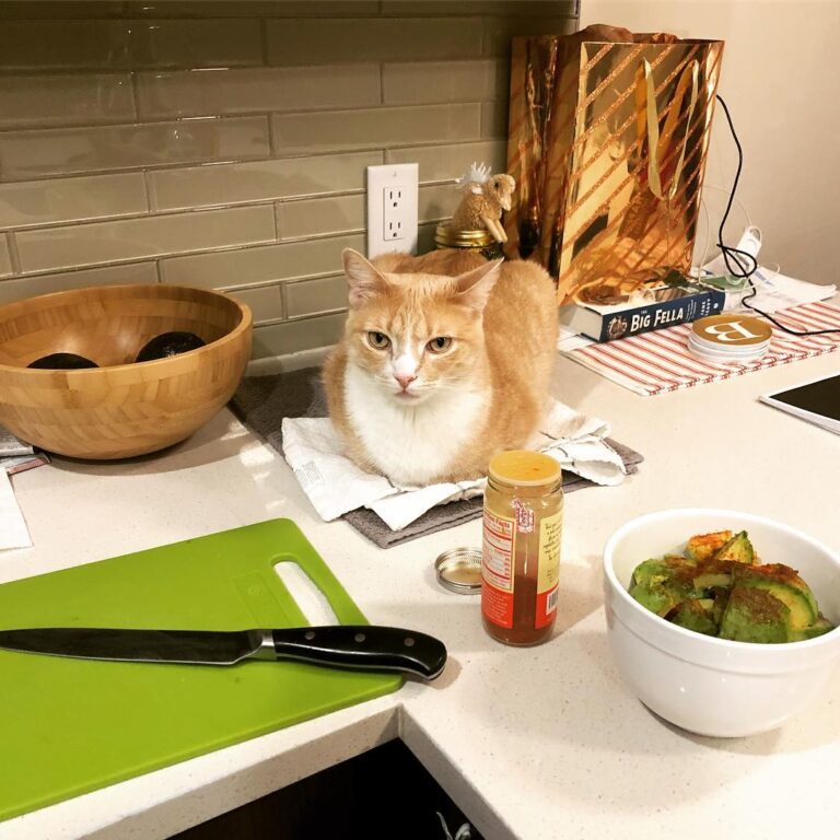Prepare my dinner and no one gets hurt. .