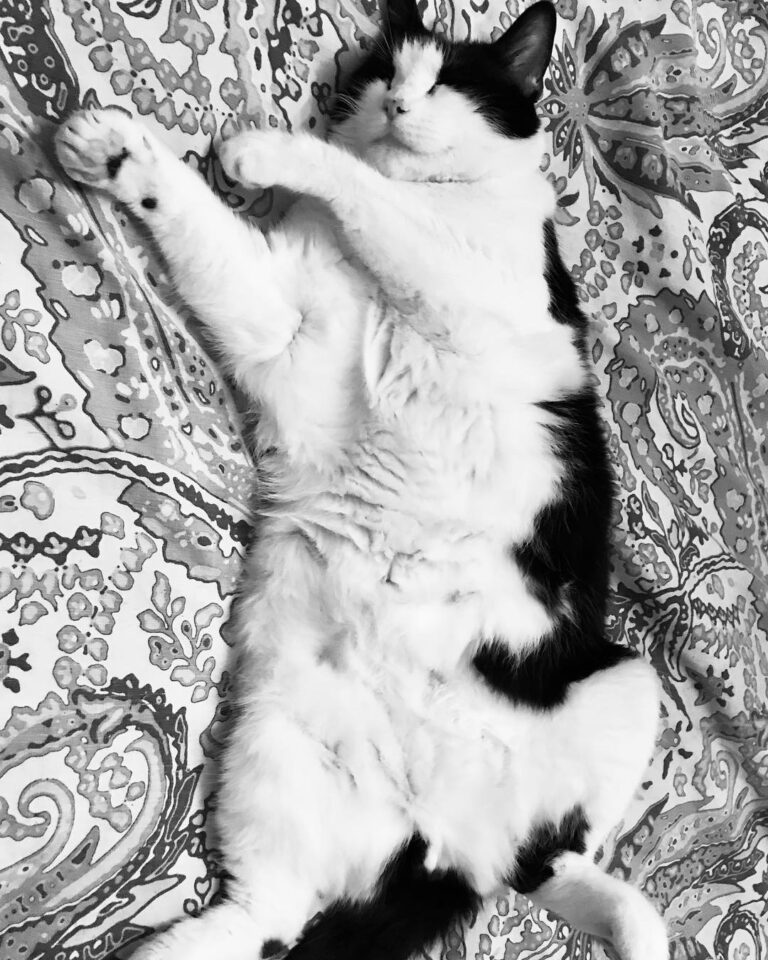 Rainy Saturdays are for sleeping. . .