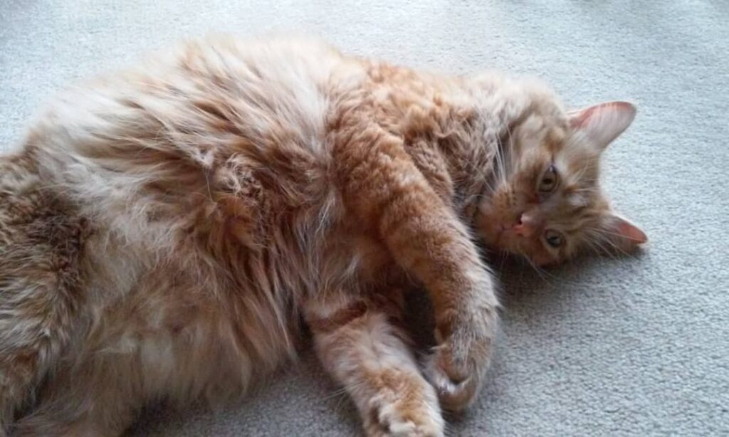 Regretting that 7th trip to the Salad Bar!