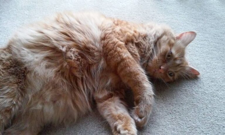 Regretting that 7th trip to the Salad Bar!
