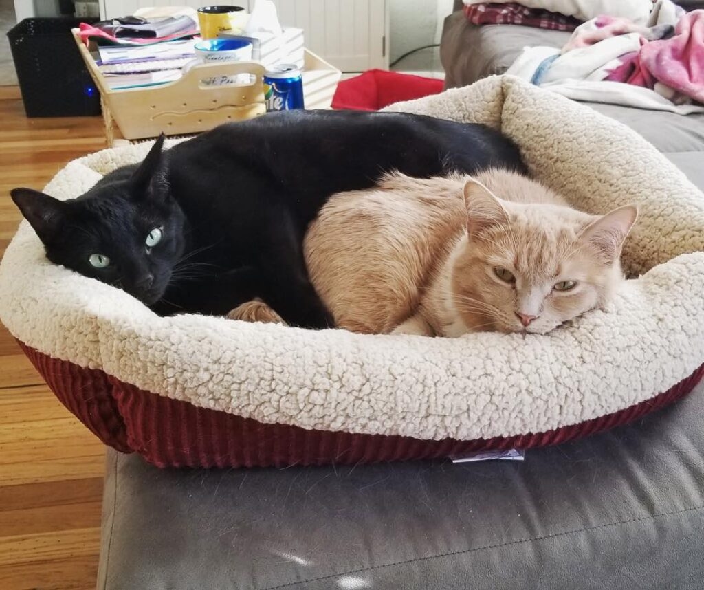 Saturday’s are for snuggling