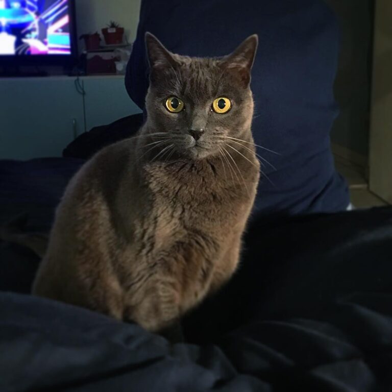 She is very pretty.