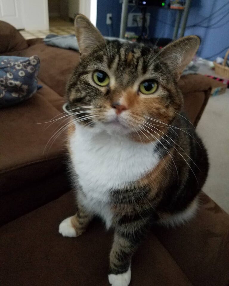 She’s craving attention on this cold rainy Saturday.
