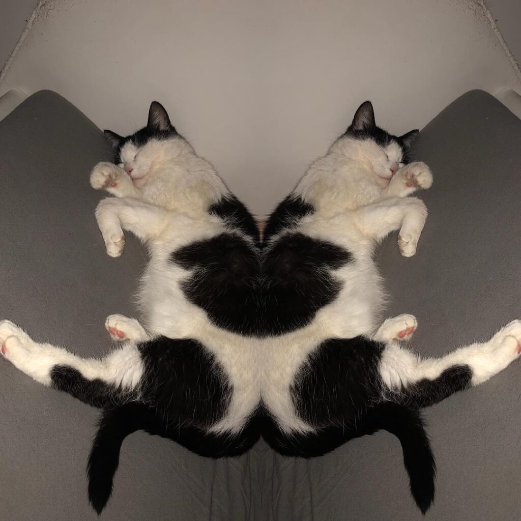 Sleep