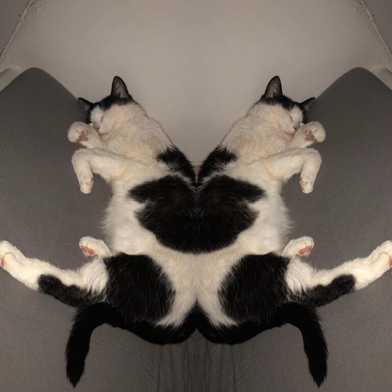 Sleep
