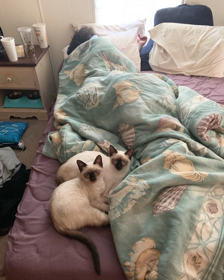 Sleeping with daddy