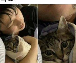 FunnyCatSite
