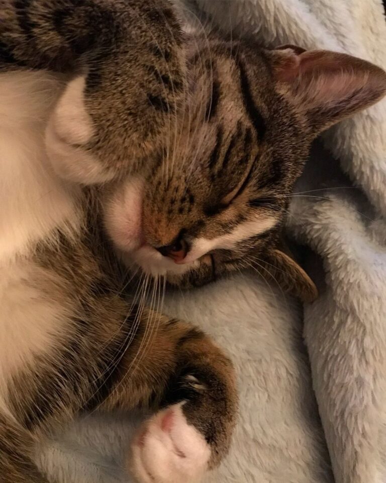 Sssst Fien is sleeping