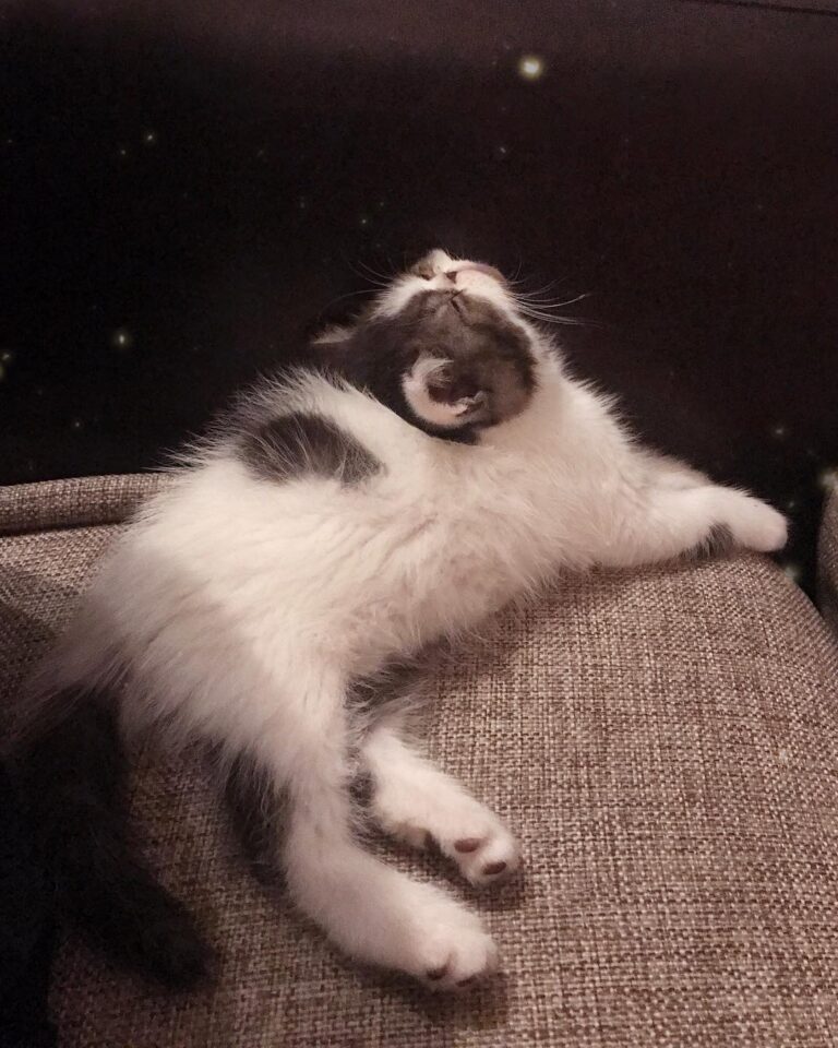 Super comfy